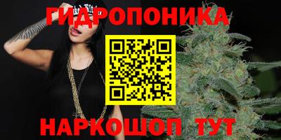 ALPHA PVP Нальчик
