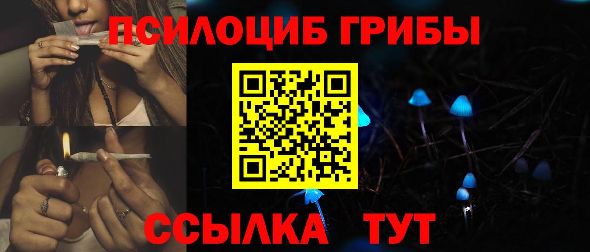 Топки  Галлюциногенные грибы прущие грибы  цена   Псилоцибиновые грибы Magic Shrooms  Вход с VPN 